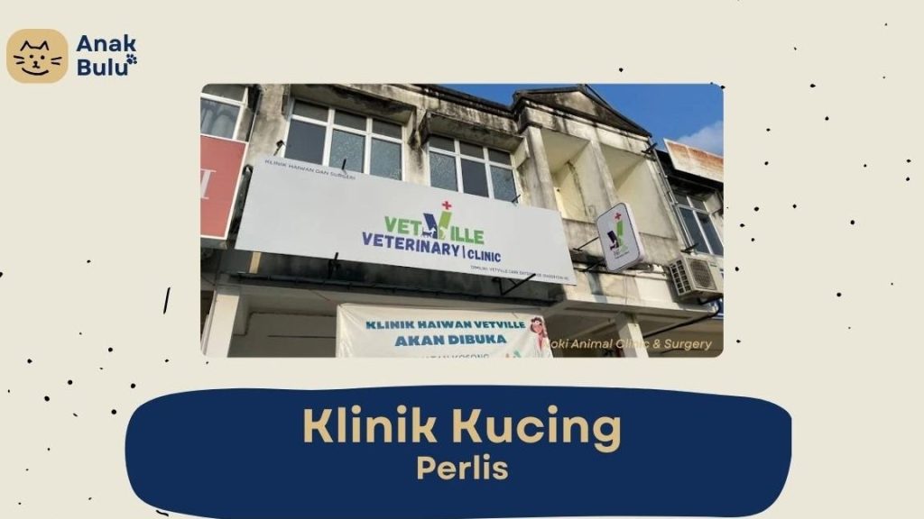 Klinik Veterinar di Arau, Malaysia 1 klinik veterinar di arau malaysia