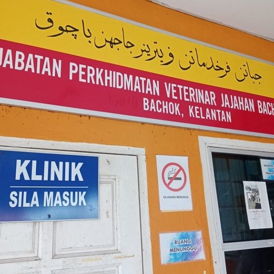 Klinik Veterinar di Bachok, Malaysia 1 klinik veterinar di bachok malaysia