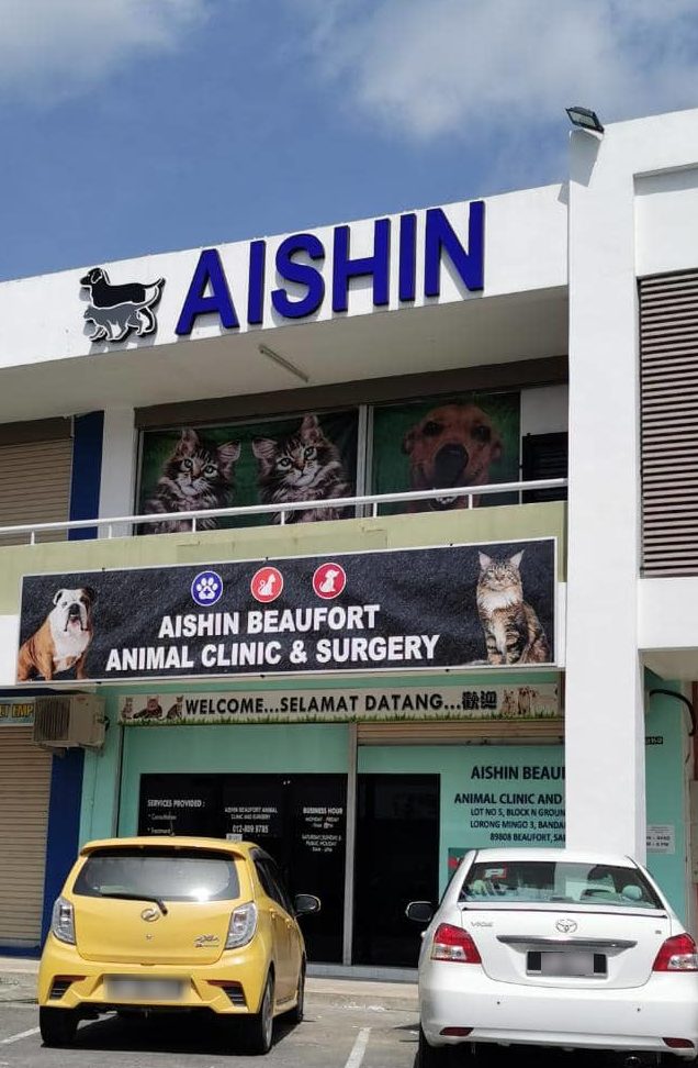 Klinik Veterinar di Beaufort, Malaysia 1 klinik veterinar di beaufort malaysia