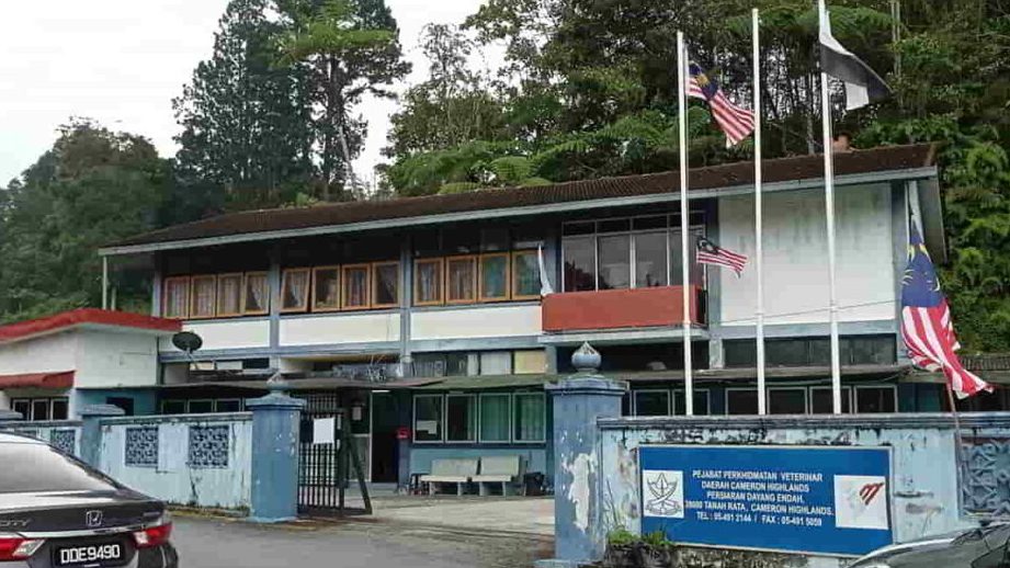Klinik Veterinar di Cameron Highlands, Malaysia 1 klinik veterinar di cameron highlands malaysia