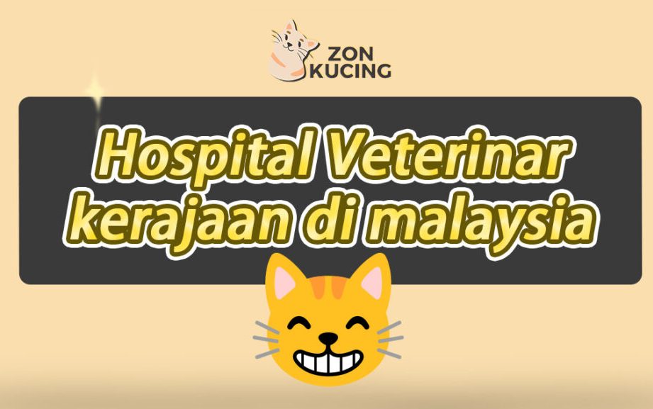 Klinik Veterinar di Gua Musang, Malaysia 1 klinik veterinar di gua musang malaysia