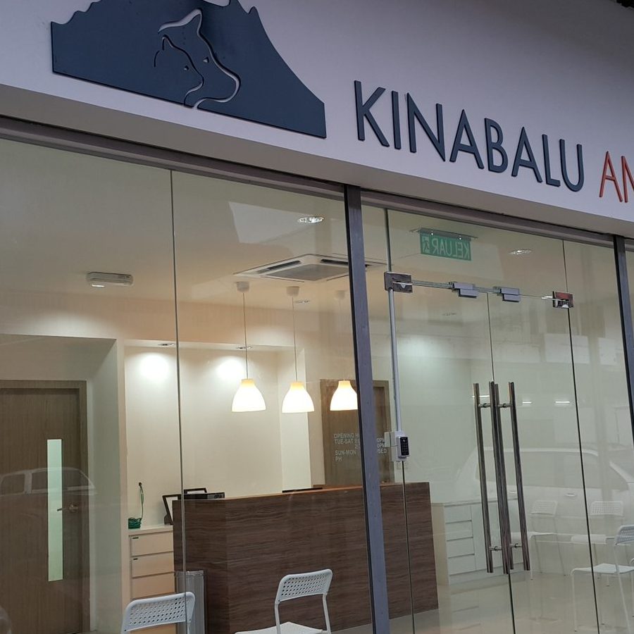 Klinik Veterinar di Kota Kinabalu, Malaysia 1 klinik veterinar di kota kinabalu malaysia