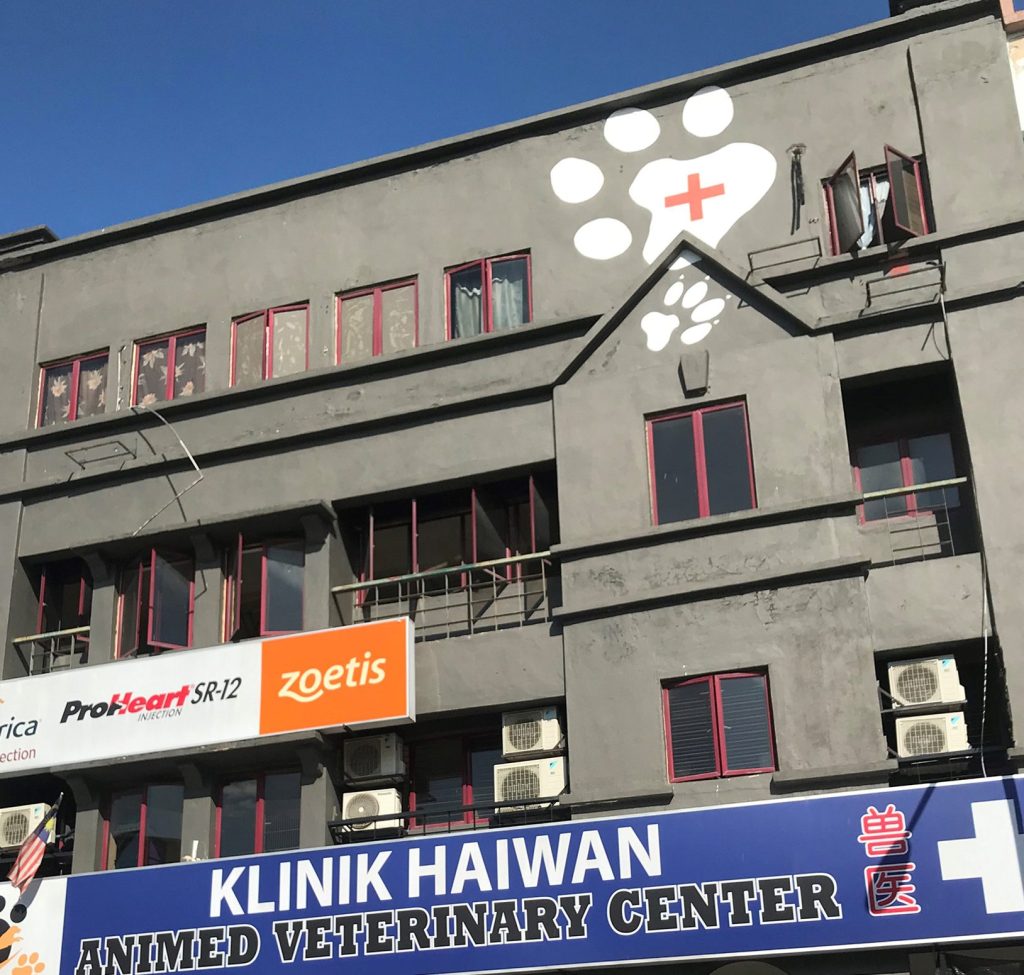 Klinik Veterinar di Kudat, Malaysia 1 klinik veterinar di kudat malaysia