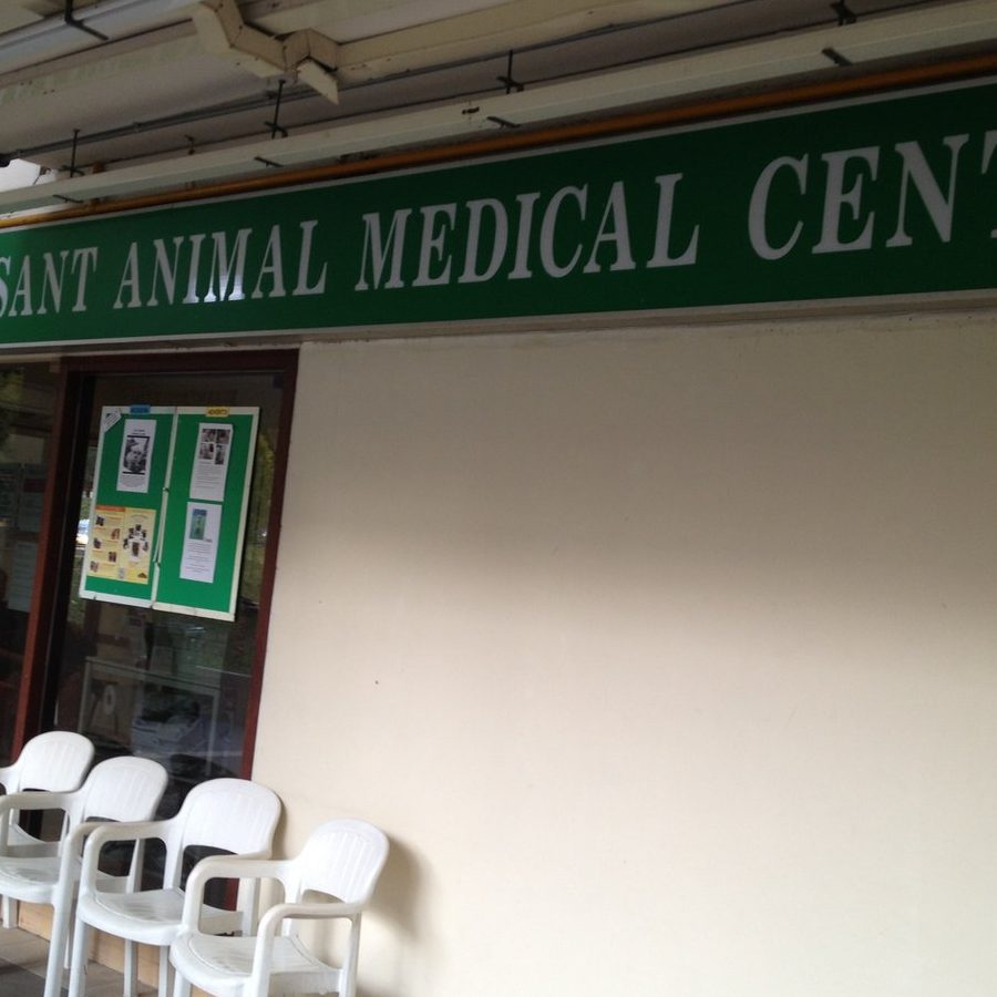 Klinik Veterinar di Kulai, Malaysia 1 klinik veterinar di kulai malaysia