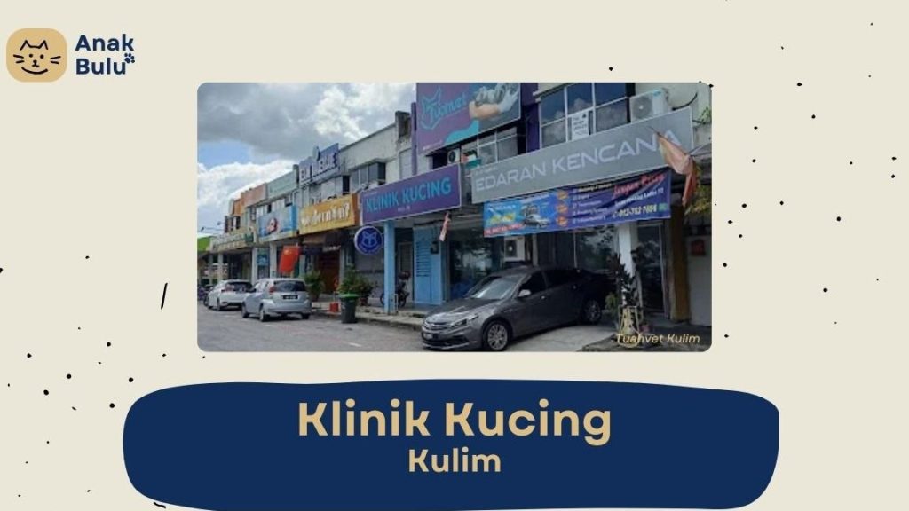 Klinik Veterinar di Kulim, Malaysia 1 klinik veterinar di kulim malaysia