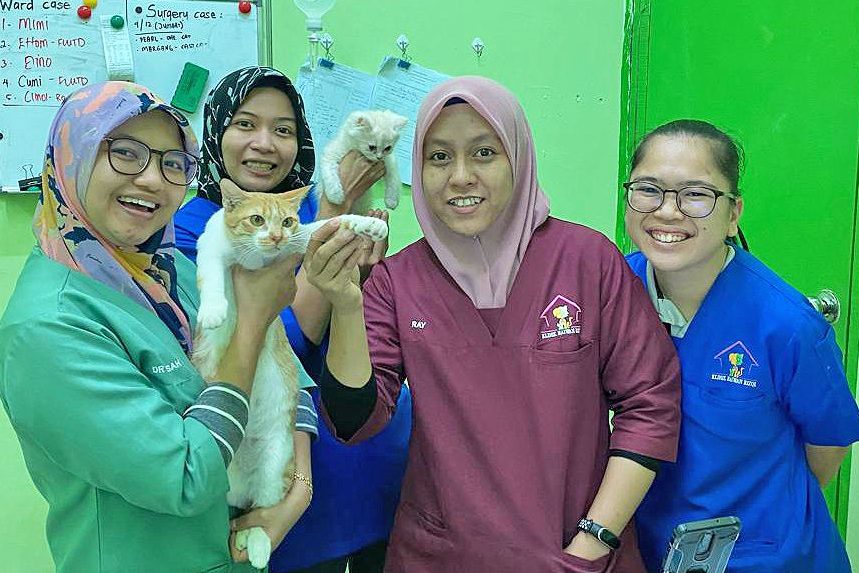 Klinik Veterinar di Lahad Datu, Malaysia 1 klinik veterinar di lahad datu malaysia