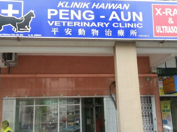 Klinik Veterinar di Nibong Tebal, Malaysia 1 klinik veterinar di nibong tebal malaysia