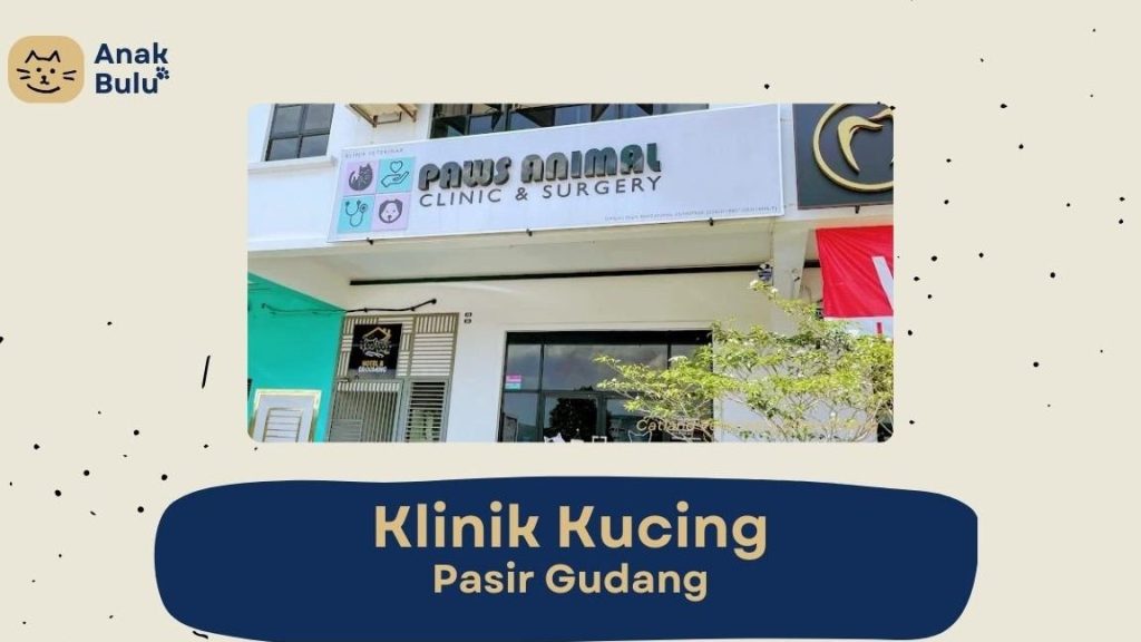 Klinik Veterinar di Pasir Gudang, Malaysia 1 klinik veterinar di pasir gudang malaysia