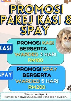 Klinik Veterinar di Pasir Mas, Malaysia 1 klinik veterinar di pasir mas malaysia