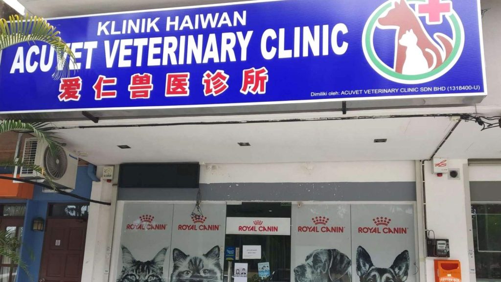 Klinik Veterinar di Penang, Malaysia 1 klinik veterinar di penang malaysia