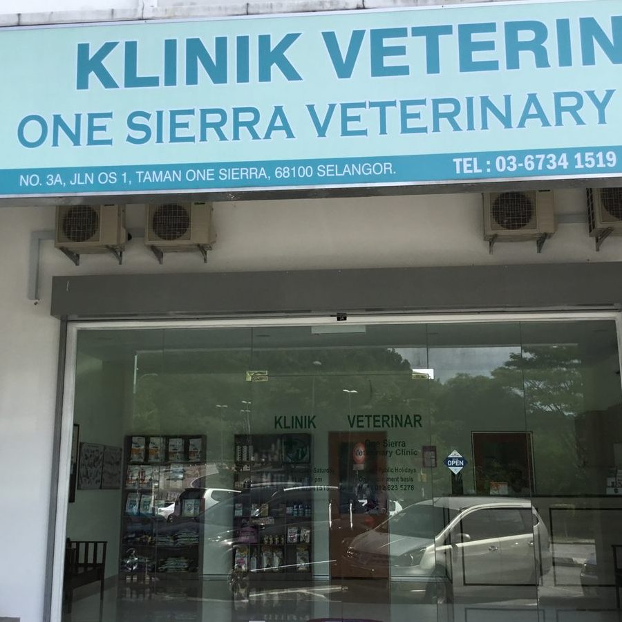 Klinik Veterinar di Petaling Jaya, Malaysia 1 klinik veterinar di petaling jaya malaysia