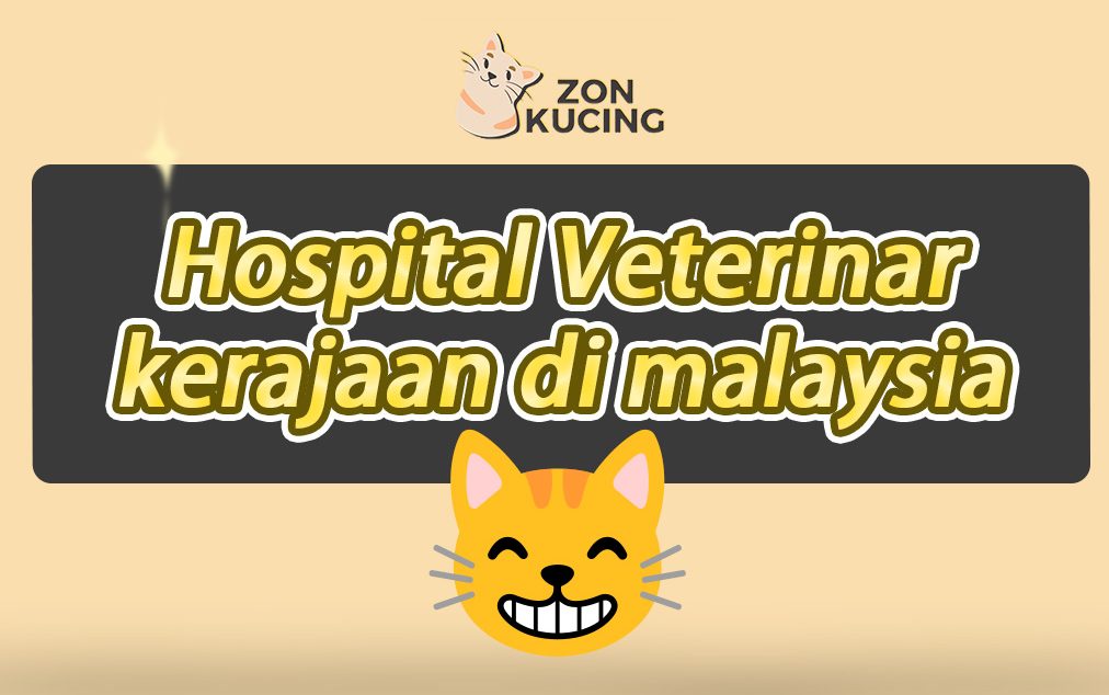 Klinik Veterinar di Sabah, Malaysia 1 klinik veterinar di sabah malaysia