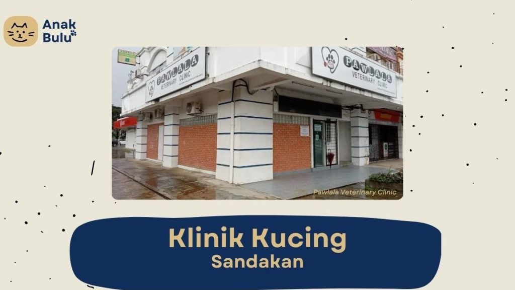 Klinik Veterinar di Sandakan, Malaysia 1 klinik veterinar di sandakan malaysia