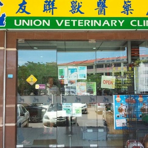 Klinik Veterinar di Sibu, Malaysia 1 klinik veterinar di sibu malaysia