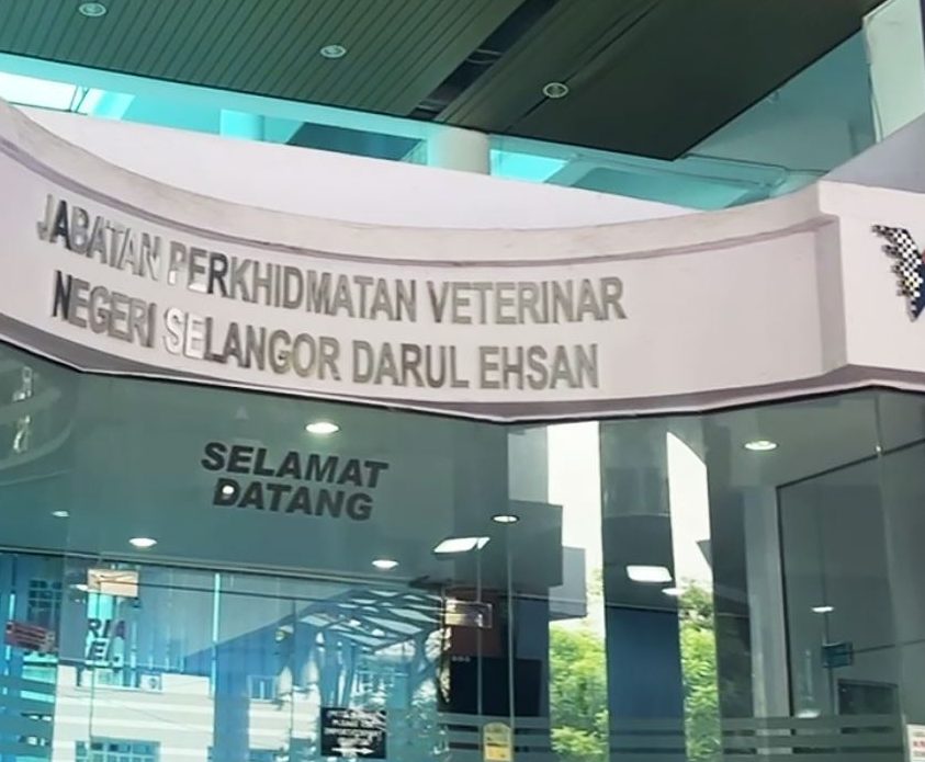 Klinik Veterinar di Tanah Merah, Malaysia 1 klinik veterinar di tanah merah malaysia