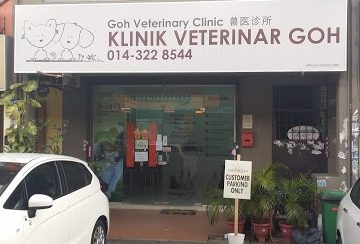 Klinik Veterinar Goh 1 klinik veterinar goh
