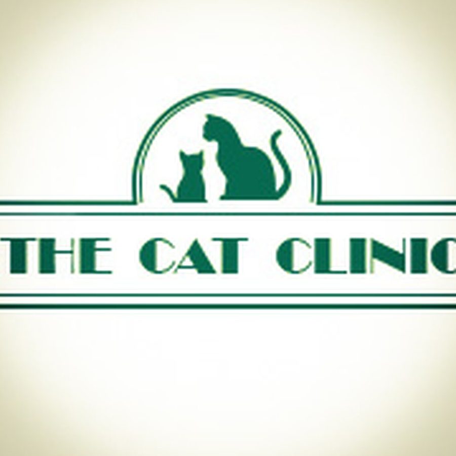 Klinik Veterinar Larkin ( cat clinic) 1 klinik veterinar larkin cat clinic