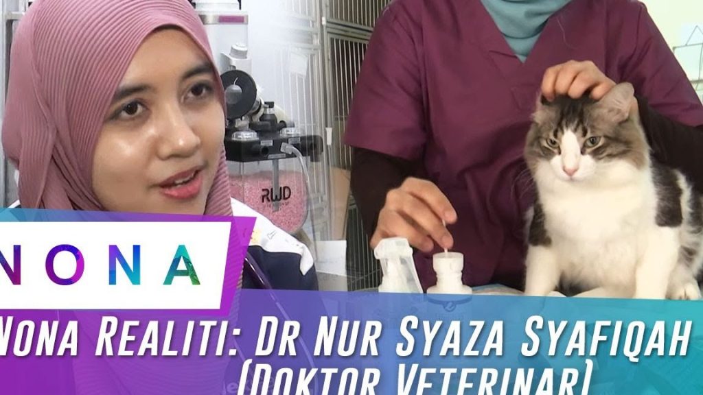 Klinik Veterinar Nur 1 klinik veterinar nur
