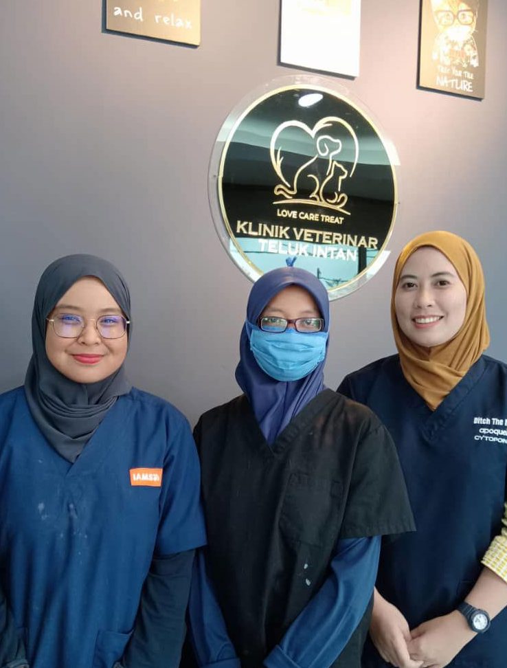 Klinik Veterinar Teluk Intan 1 klinik veterinar teluk intan