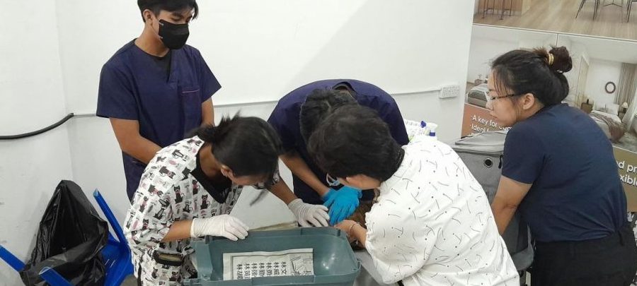 Klinik Veterinar UPMKB 1 klinik veterinar upmkb