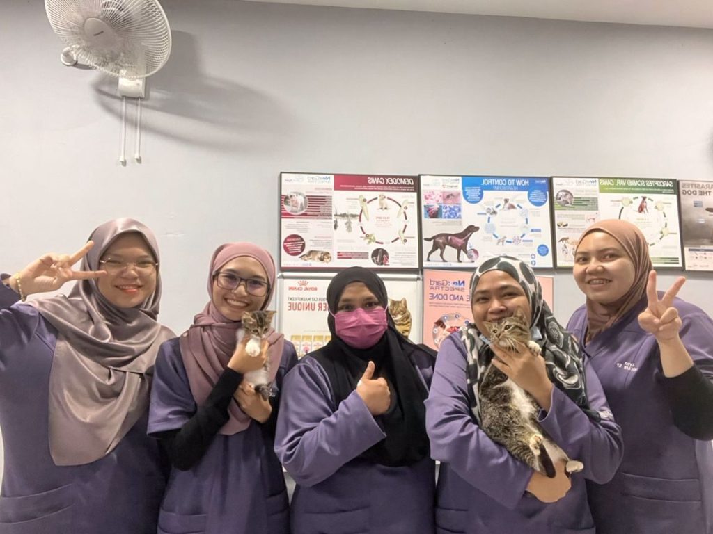KLINIK VETERINAR VETCARE RP 1 klinik veterinar vetcare rp