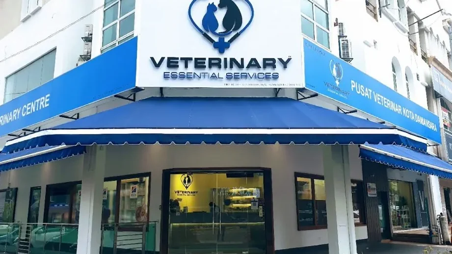 kota damansara veterinary centre surgical centre weekday night clinic