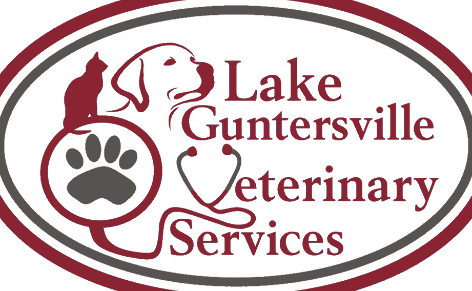 kuala lipis abattoir complex department of veterinary services