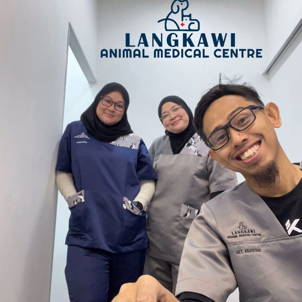 Langkawi Animal Medical Centre (LAMC) 1 langkawi animal medical centre lamc