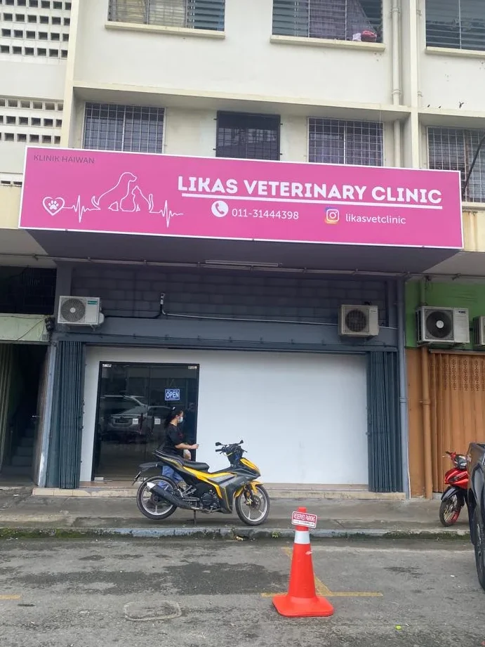 Likas Veterinary Clinic 1 likas veterinary clinic