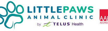 Little Paws Veterinary Clinic 1 little paws veterinary clinic