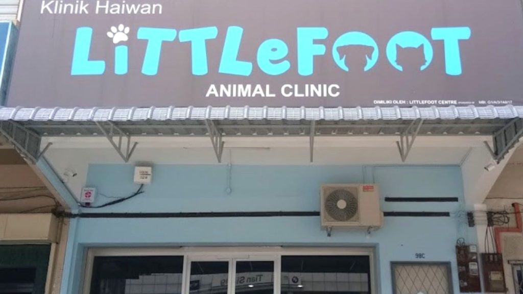 LittleFoot Animal Clinic 1 littlefoot animal clinic
