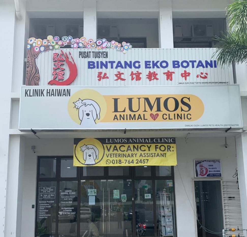 Lumos Animal Clinic 1 lumos animal clinic