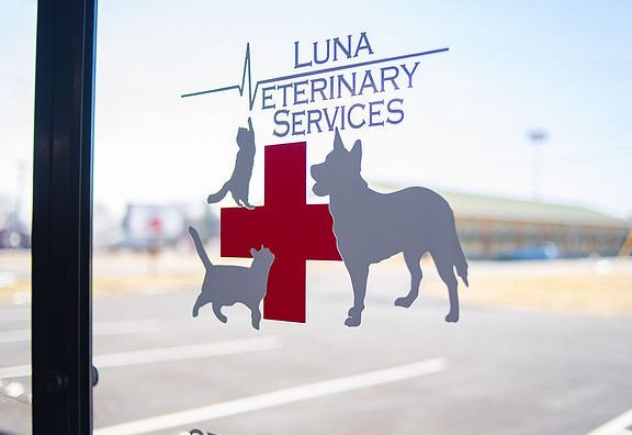 Luna Veterinary Clinic and Surgery 1 luna veterinary clinic and surgery