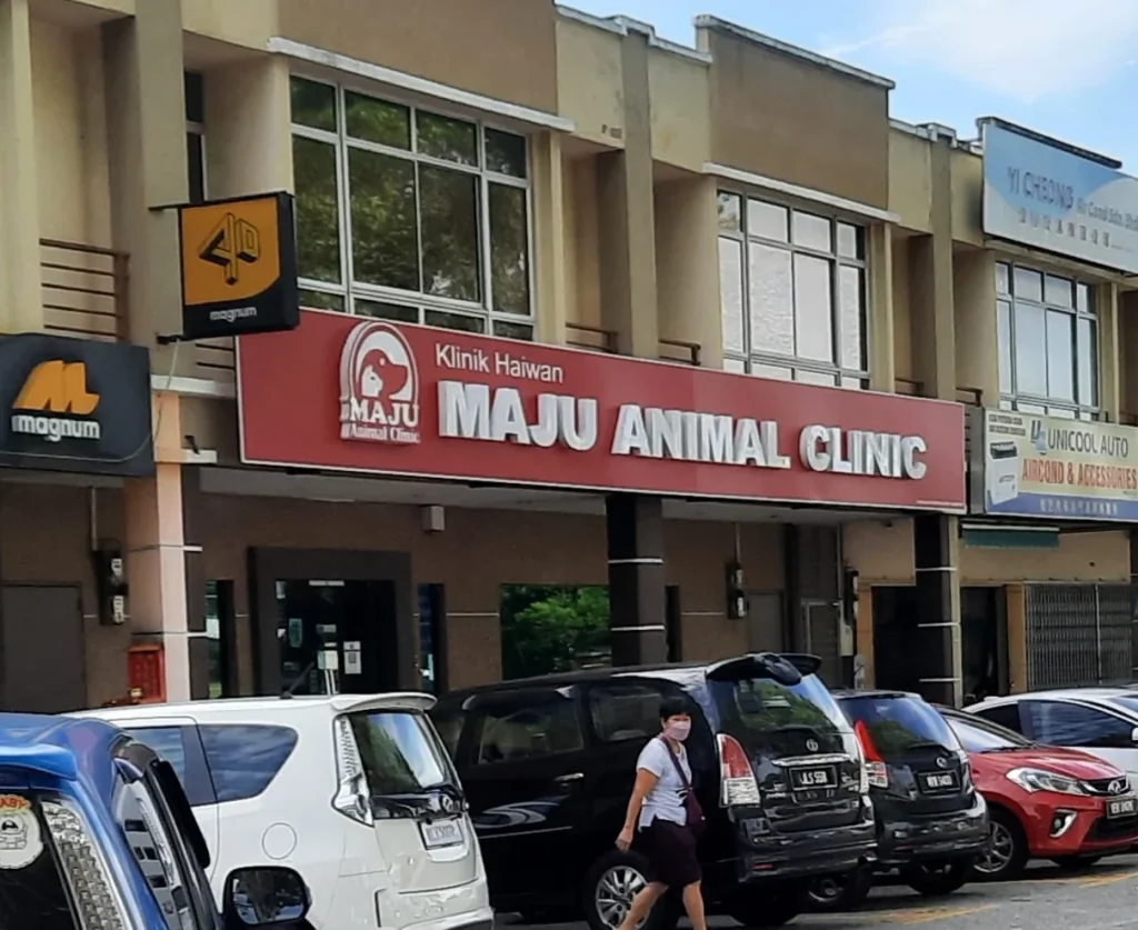 Maju Animal Clinic 1 maju animal clinic