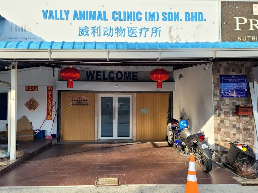 Malacca Animal Clinic 1 malacca animal clinic