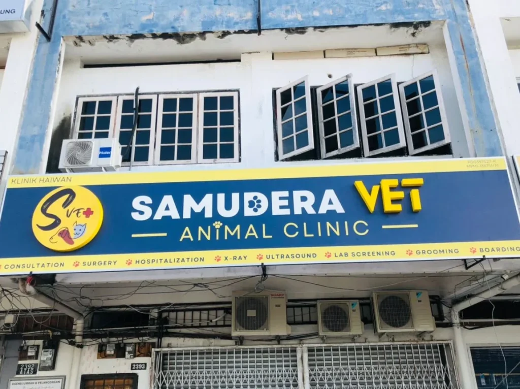 Manjung Animal Clinic 1 manjung animal clinic