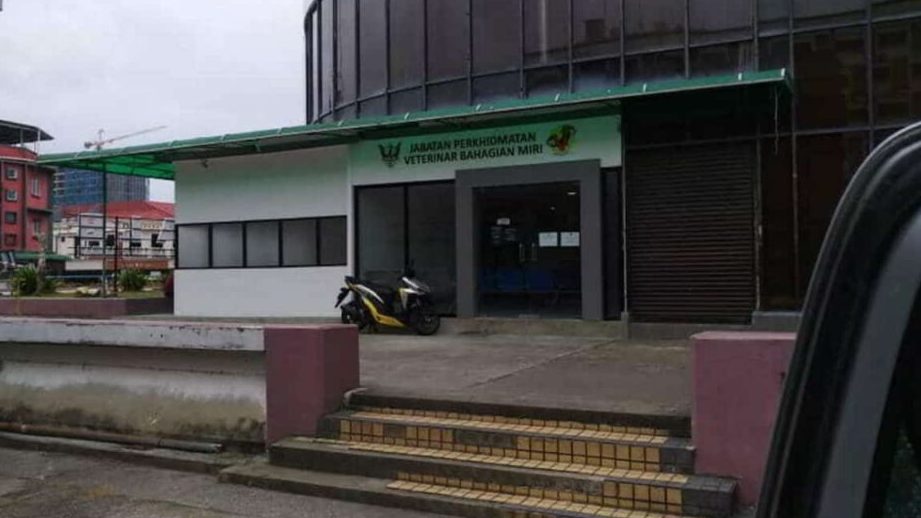 Miri Veterinary Department (DVS), Pejabat Perkhidmatan Veterinar Bahagian Miri 1 miri veterinary department dvs pejabat perkhidmatan veterinar bahagian miri