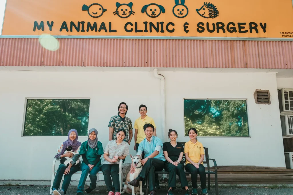 My Animal Clinic & Surgery 1 my animal clinic surgery