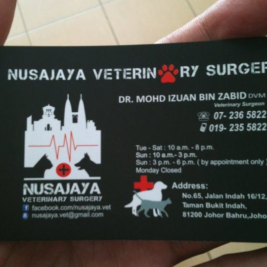 Nusajaya Veterinary Surgery 1 nusajaya veterinary surgery