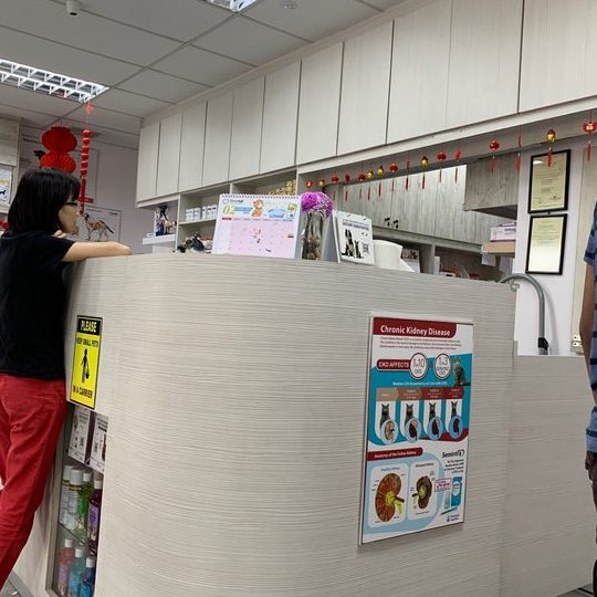 One Ampang Veterinary Clinic 1 one ampang veterinary clinic