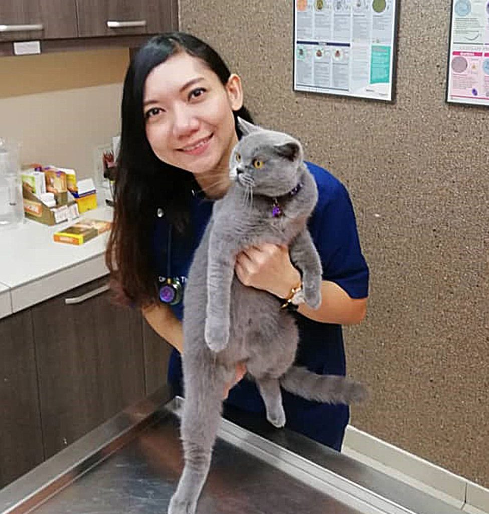 Passionate Animal Clinic Rawang 1 passionate animal clinic rawang