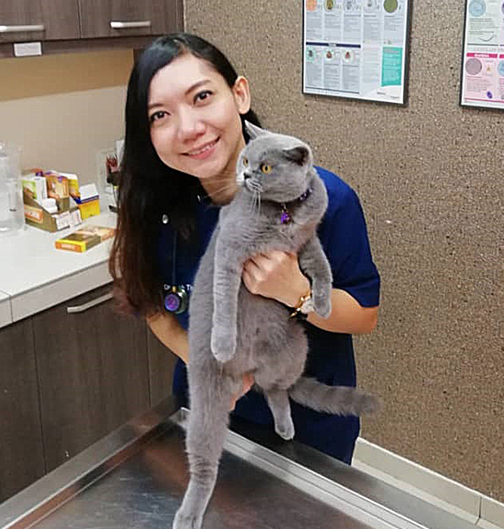 passionate animal clinic rawang