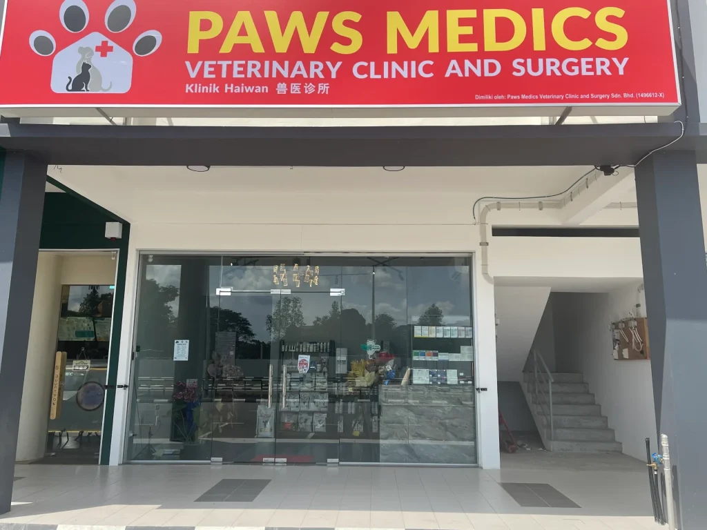 Paws Medics Veterinary Clinic and Surgery 1 paws medics veterinary clinic and surgery