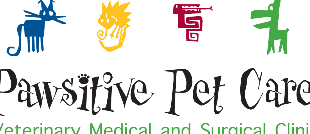 Pawsitive Pet Animal Clinic 1 pawsitive pet animal clinic
