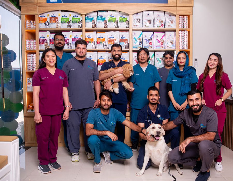 PAWSITIVE VETERINARY CLINIC 1 pawsitive veterinary clinic
