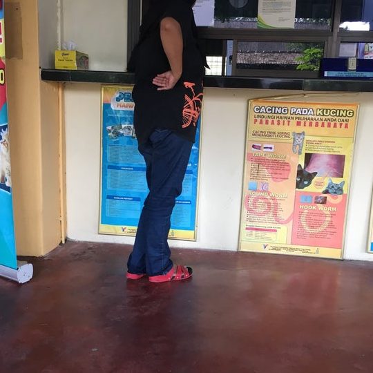 pejabat perkhidmatan veterinar daerah timur laut