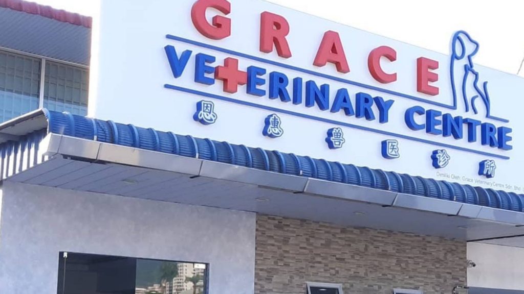 Penang Veterinary Centre | Penang Veterinary Clinic 1 penang veterinary centre penang veterinary clinic