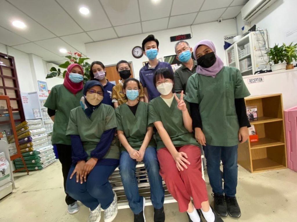 Pets Health Veterinary Clinic And Surgery 1 pets health veterinary clinic and surgery