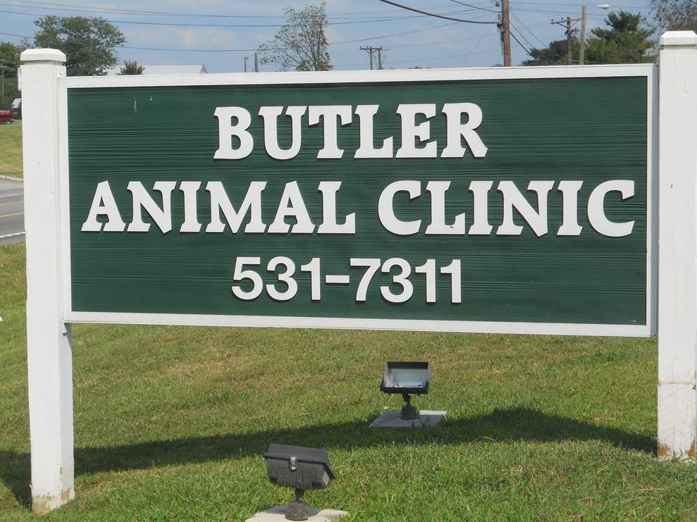 pubaa animal treatment centre