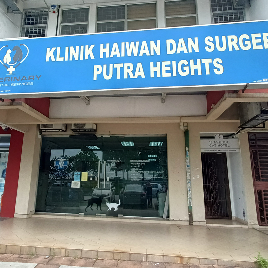 Putra Heights Veterinary Clinic and Surgery 1 putra heights veterinary clinic and surgery